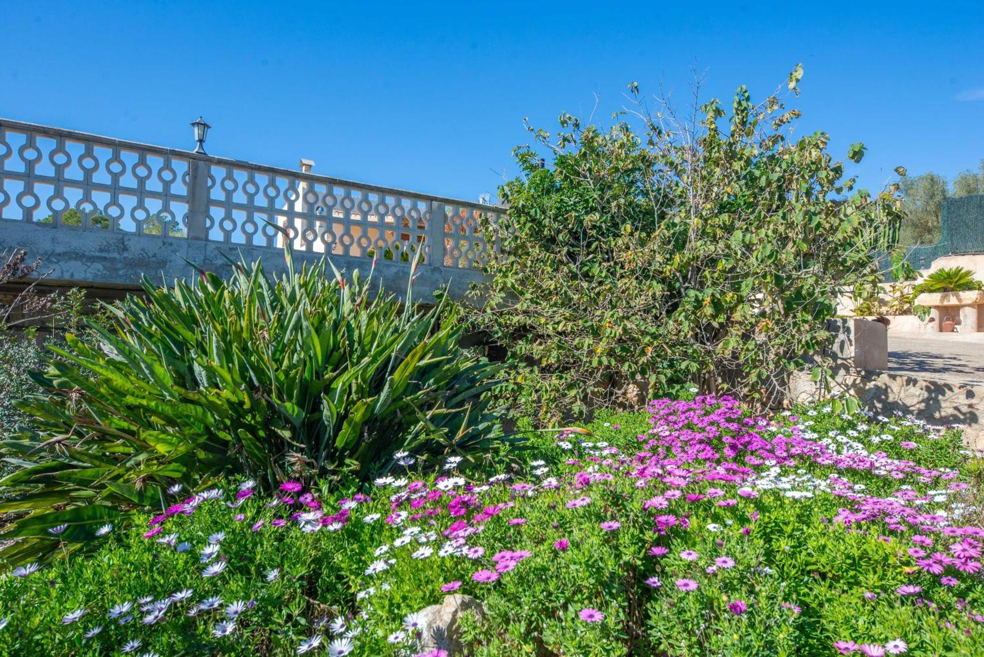Villa Vista Sol Ariany Esterno foto